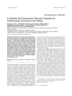 A reliable lacZ expression reporter cassette for multipurpose