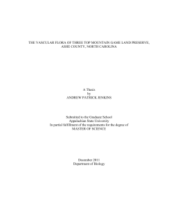 The Vascular Flora of Three Top Mountain Game Land Preserve