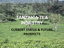 Tanzania tea industry