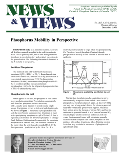 Phosphorus Mobility in Perspective