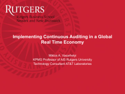 Implementing Continuous Auditing in a Global Real Time Economy