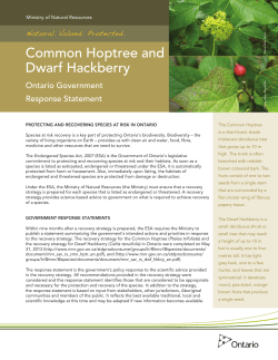 Government Response Statement to the Recovery Strategies for the