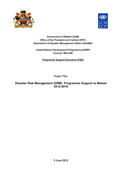 UNDP DRM Programme Support Document