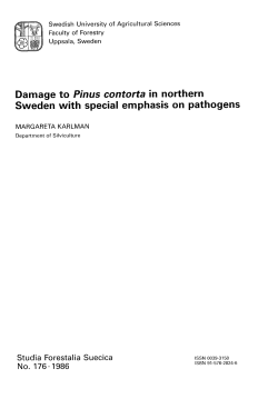 Damage to Pinus contorta in northern Sweden with special