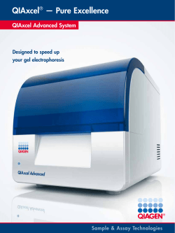 QIAxcel&reg; &mdash; Pure Excellence