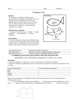 Toothpick Fish Lab