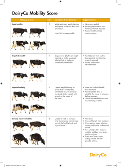 Mobility Score score sheet aw 2.indd