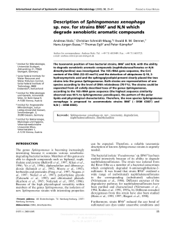 Description of Sphingomonas xenophaga sp. nov. for strains BN6T