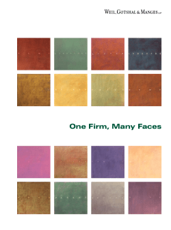 One Firm, Many Faces