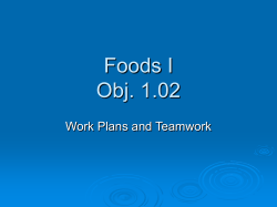 1.02 Teamwork and Work Plans