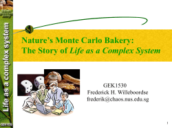 Fractals and Cellular Automata - Frederick H. Willeboordse