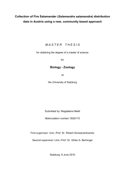 Master Thesis Magdalena Meikl