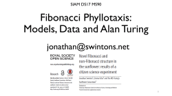 Fibonacci Phyllotaxis: Models, Data and Alan Turing