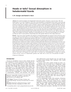 Heads or tails? Sexual dimorphism in