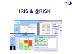 External Audit of the OCCAR-EA Risk Maturity Model and Risk
