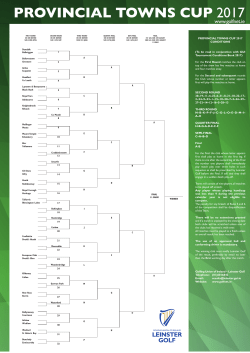 provincial towns cup 2017