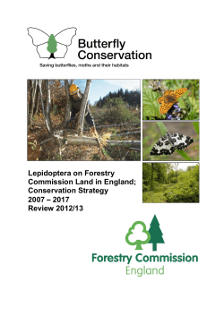 Lepidoptera on Forestry Commission Land in England