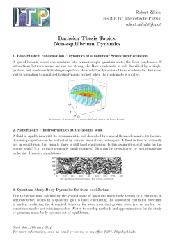 Bachelor Thesis Topics: Non