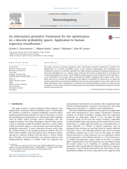 An information geometric framework for the optimization on