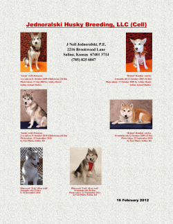 Jednoralski Husky Breeding, LLC (Cell)