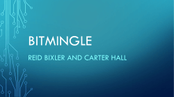 BitMingle