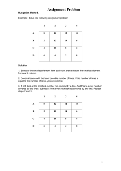 Assignment Problem - Shadows Government
