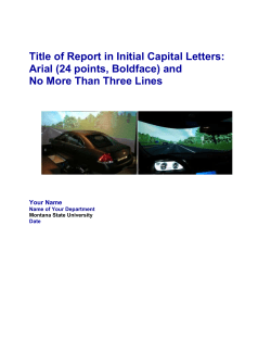 Generic Report Template (with comments)