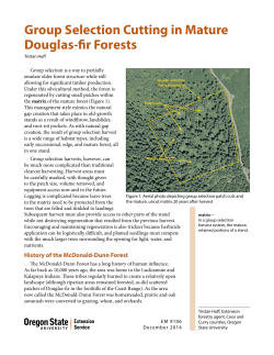 Group Selection Cutting in Mature Douglas