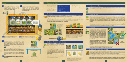 Setup Course of Play