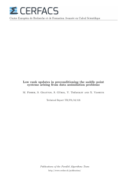 Low rank updates in preconditioning the saddle point