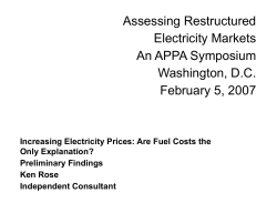 Increasing Electricity Prices: Are Fuel Costs the Only Explanation?