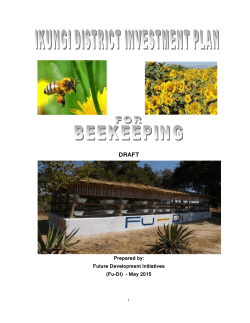 Prepared by: Future Development Initiatives (Fu-DI)