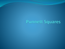 Punnett Squares