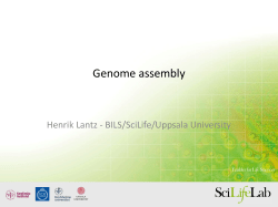 Genome Assembly - felixeye.github.io