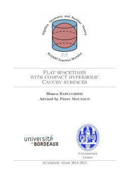 Flat spacetimes with compact hyperbolic Cauchy surfaces
