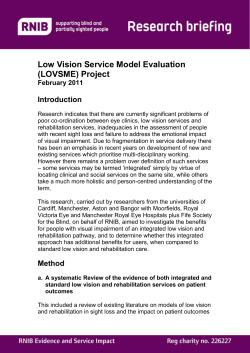 Low vision service model project brief