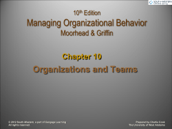 Organizations and Teams Chapter 10