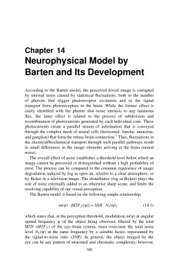 Neurophysical Model by Barten and Its Development