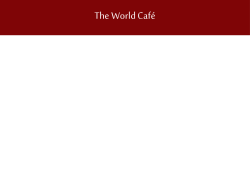 HODN World Cafe Process Slides
