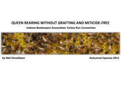 Part I - Mel Disselkoen