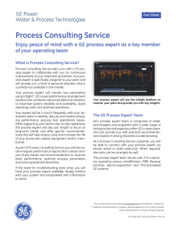 Insight Pro - Process Consulting Service