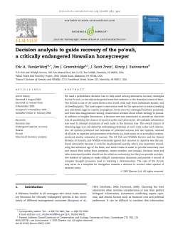 Decision analysis to guide recovery of the po`ouli, a critically