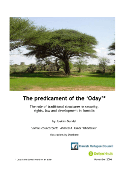2 The Somali traditional structures