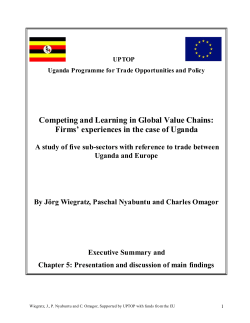 Competing and Learning in Global Value Chains: Firms