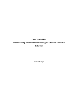 Can`t Touch This: Understanding Information Processing for
