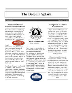 Dolphin Splash Winter 2017