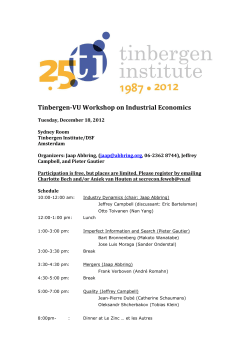 Tinbergen-VU Workshop on Industrial Economics