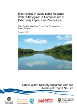 Externalities in Sustainable Regional Water Strategies: A