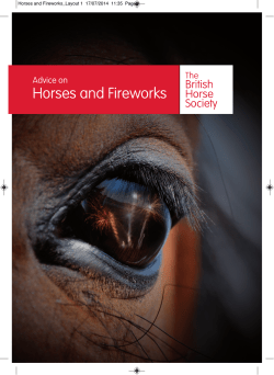 Horses and Fireworks - British Horse Society