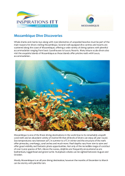 Mozambique Dive Discoveries - Other Destination or Service Rate